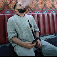 Haj Dingo