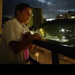 Cristopher Losada