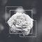 Aetherix