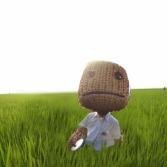 ⁧⁧sackboy