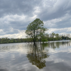 Олександр Киричок