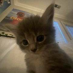 Кристюша Сонова