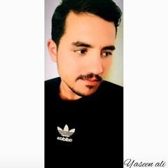 yaseen ali