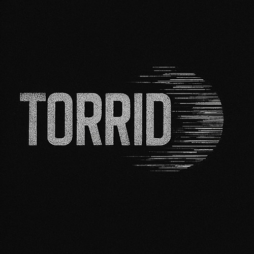 SoundCloud profile picture for @torrid