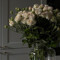 Nourah_h