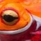 bonkrz