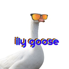 ily goose
