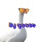 ily goose