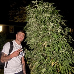 Mike Trig