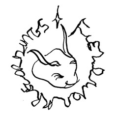 Field Work Recordings