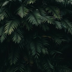 ProdbyAlton