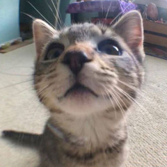 judyy