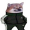 Disboi
