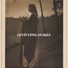 Levitating Snakes