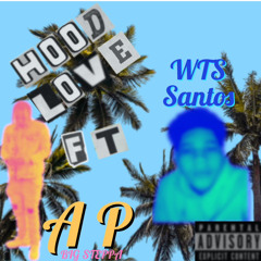 W.T.S santos