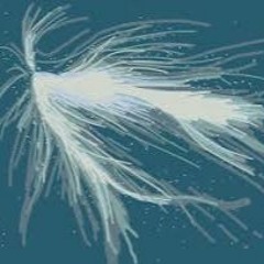 Laniakea E - Time dilation