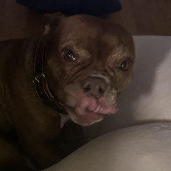 dee