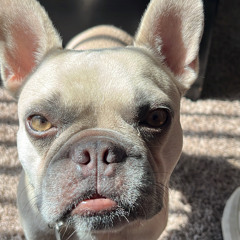 Edward Jerome Maglalang