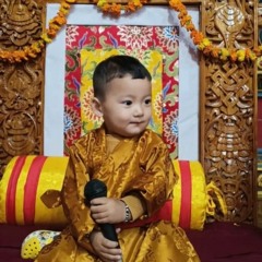 ཆོས་ཀྱི་སྒྲ་མཛོད།