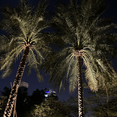 rmd