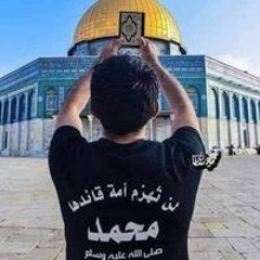 Mohamed Abo-Hafez Elngar