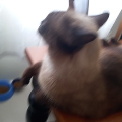 caioooo*