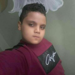 محمدمحمود عبد النظير