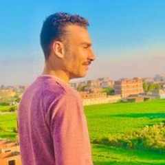 احمد السبكي