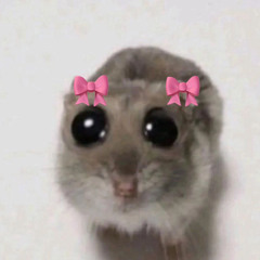 fatmasa