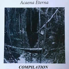 Acaena eterna