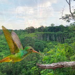 Skutesjön Healing Arts