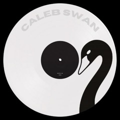 Caleb Swan