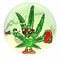 brraliaserguaao77