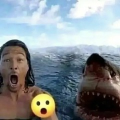yooouk?
