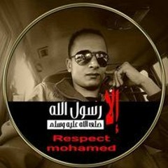 السيد محمد محمود ناصر (قرآن كريم)