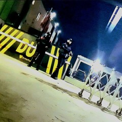 dolphin a.n.a.f