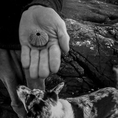 School of Plural Futures