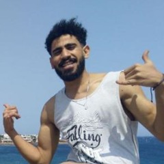 kareem badawii