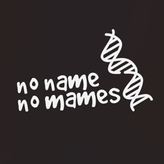 No Name No Mames