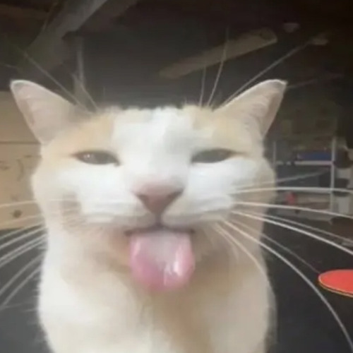 Stream Ostavi Trag Opening by vince f | Listen online for free on