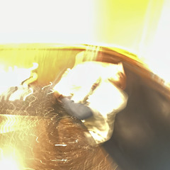 Rockztar Zay