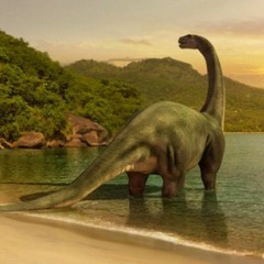 Raptor