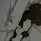 iidfht