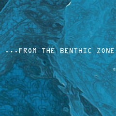 ...From The Benthic Zone