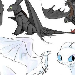 Dragon trainer