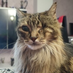 Lichu