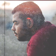 مهرجان النص جنيه