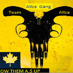 Team Allza