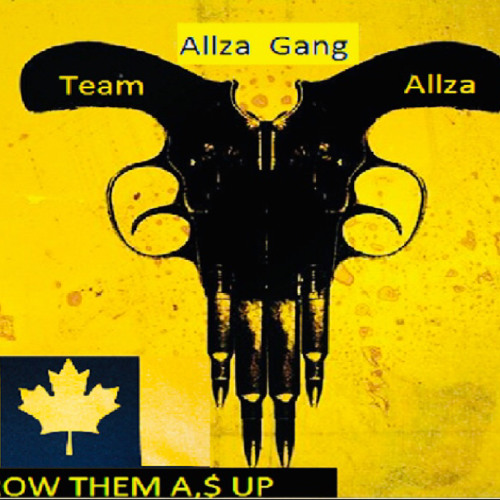 Team Allza’s avatar
