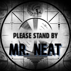 Mr. Neat